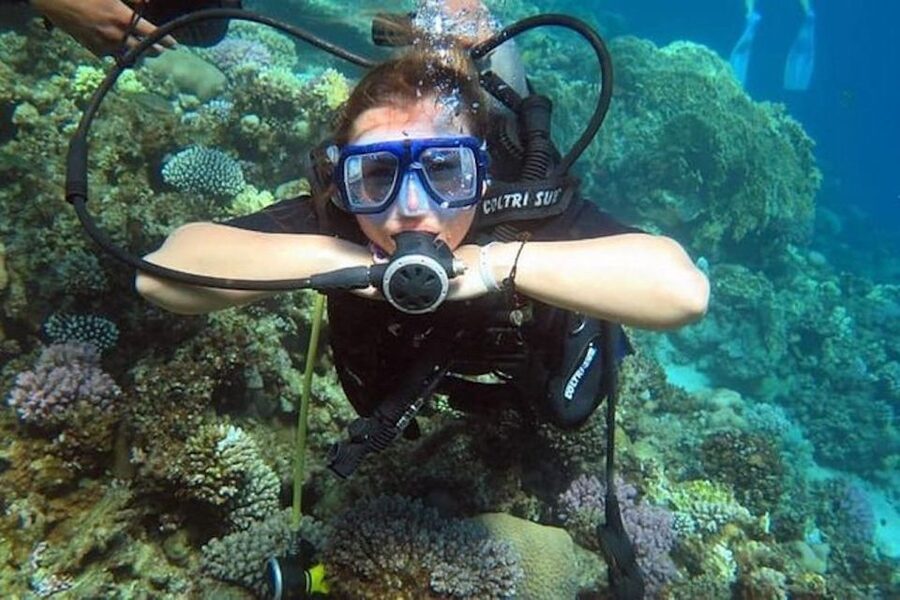 Sharm: Introductory Dive from the Shore & PADI Courses - Your first underwater session in shallow water