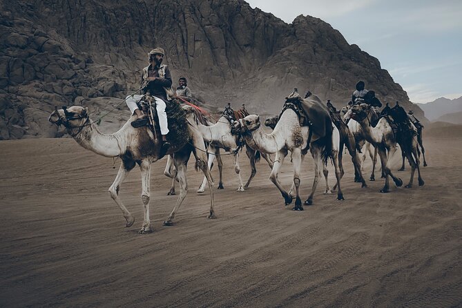 Sharm: Quad Bike or Car Buggy, Camel ride & optional VIP Bedouin Dinner & Show - Hotel pickup and the journey to the safari area