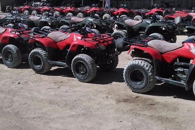 Sharm: Quad Bike or Car Buggy, Camel ride & optional VIP Bedouin Dinner & Show - The mountain echo stop and photo break