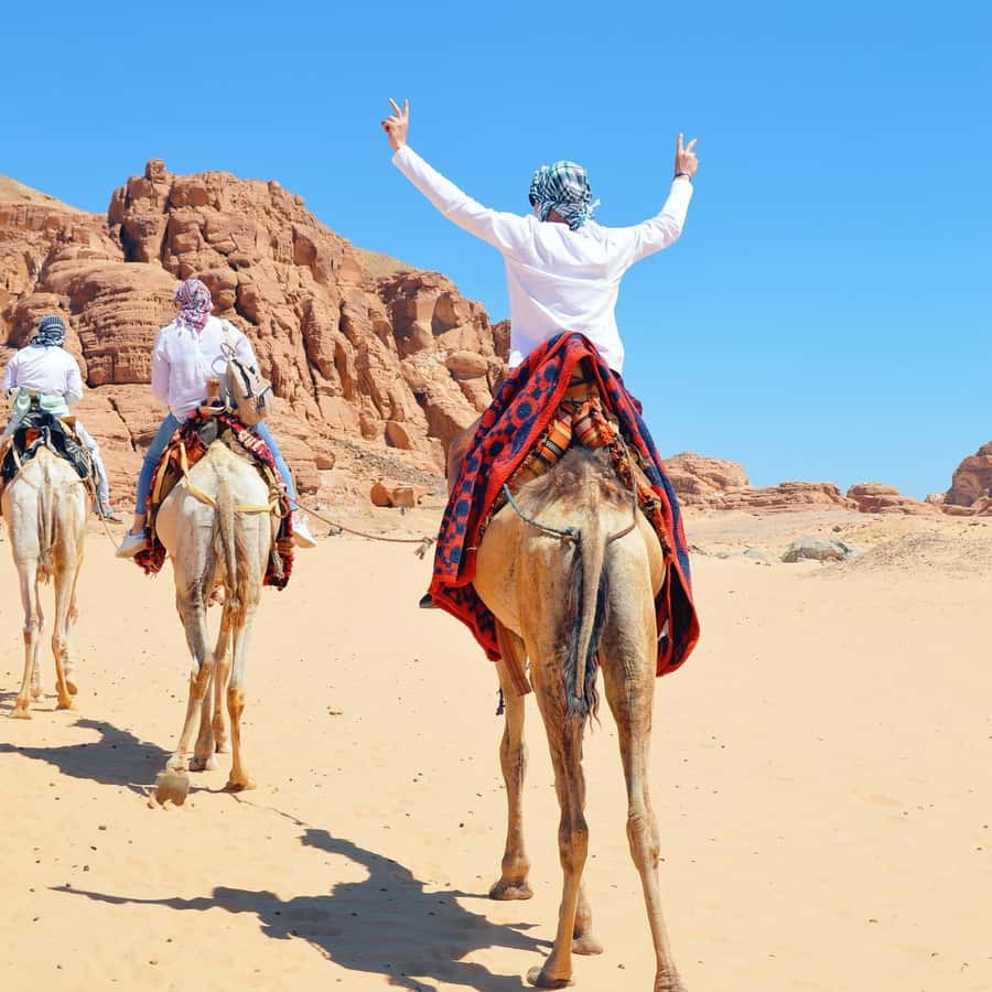 Sharm: Water Sports Adventure Day with Hotel Transfer - A glass-bottom boat over Red Sea coral