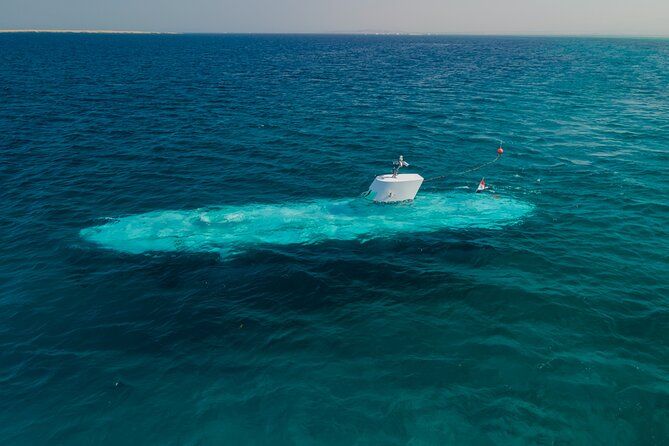 Sindbad Submarines - Hurghada (Egypt) - 2 Hours - Why this works so well for families