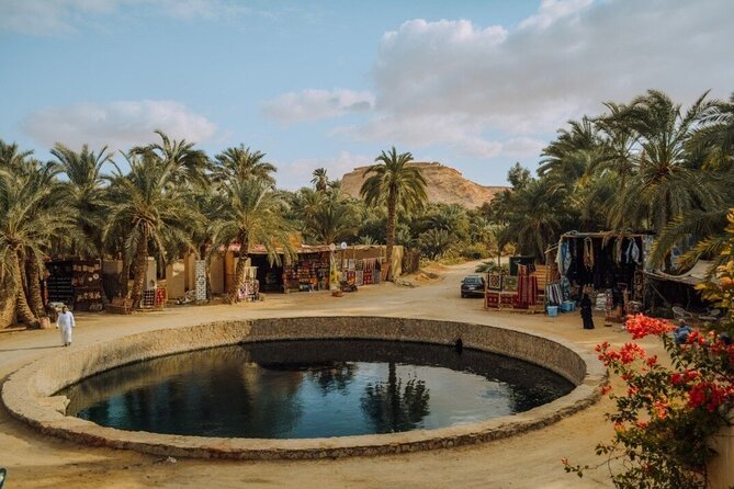 Siwa Oasis private all inclusive from cairo and GIZA - Floating at Siwa Salt Lake