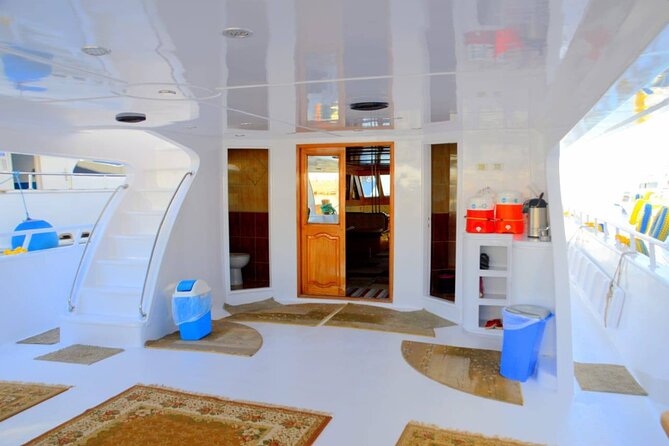 Snorkeling Day Trip To White Island And Ras Mohammed By VIP Boat - Key points to know before you book