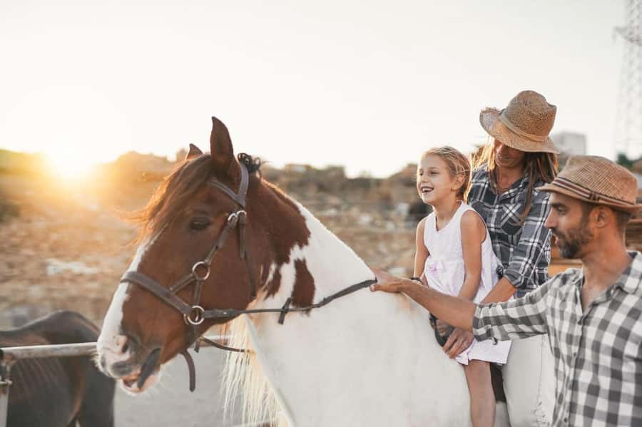 Soma Bay: Horse Riding Beach and Desert Tour With Transfer - Key points to know before you book