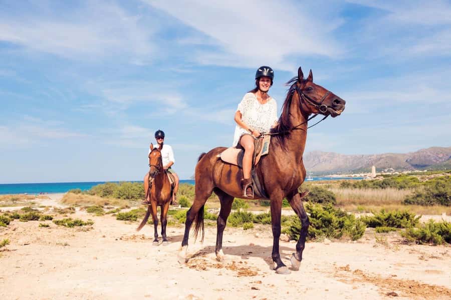 Soma Bay: Horse Riding Beach and Desert Tour With Transfer - Who will enjoy this ride most