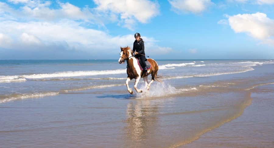 Soma Bay: Horse Riding Beach and Desert Tour With Transfer - Why the beach section is the highlight