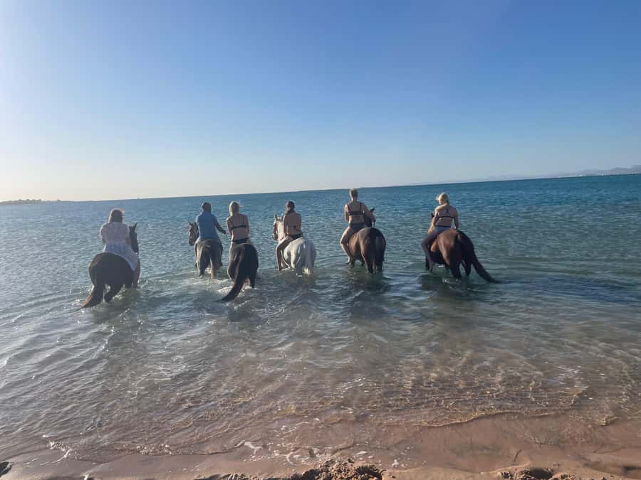 Soma Bay: Horse Riding Beach and Desert Tour With Transfer - The guide’s role and the pace of the outing