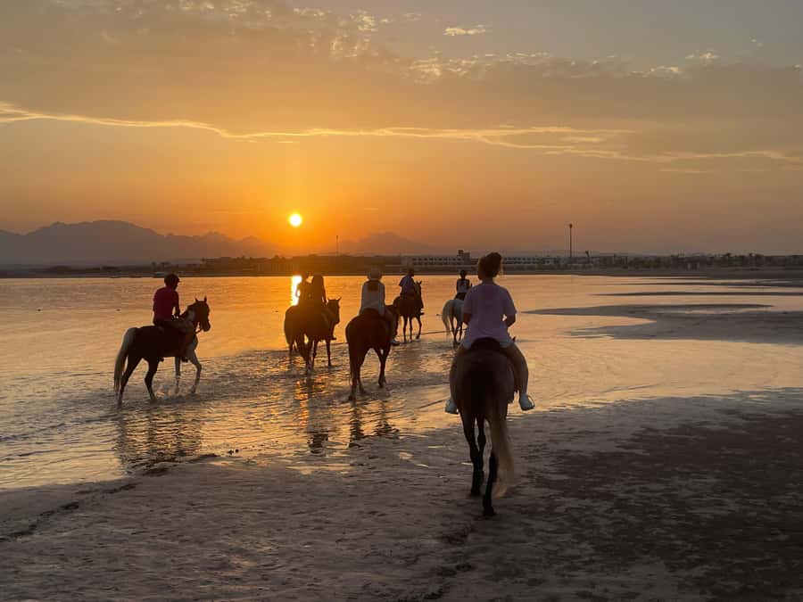 Soma Bay: Horse Riding Beach and Desert Tour With Transfer - Transfer details from Soma Bay and nearby resorts