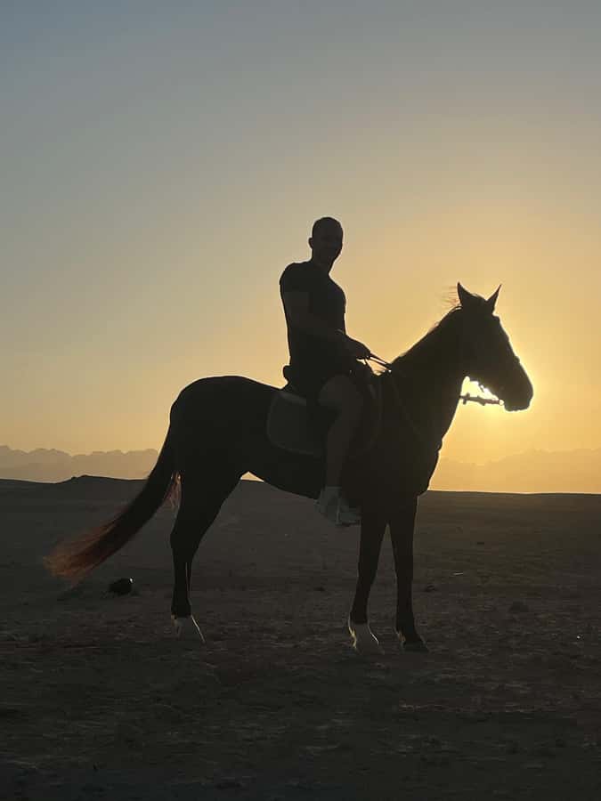 Soma Bay: Horse Riding Beach and Desert Tour With Transfer - What is included for the $20 price