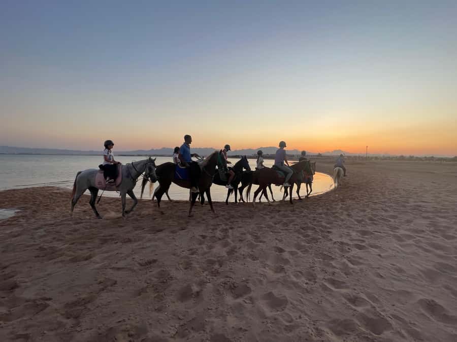 Soma Bay: Horse Riding Beach and Desert Tour With Transfer - The practical side of comfort and safety