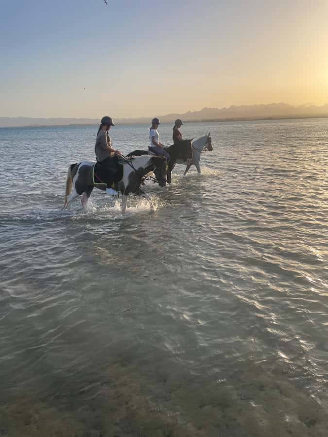 Soma Bay: Horse Riding Beach and Desert Tour With Transfer - Photos, water, tea, and the small touches