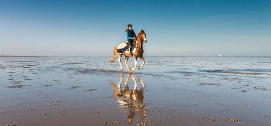 Soma Bay: Horse Riding Beach and Desert Tour With Transfer - What the first-time rider experience is like