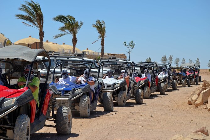 Stargazing Safari Adventure by Jeep with Bedouin Dinner-Hurghada - Quick take: the details that matter most