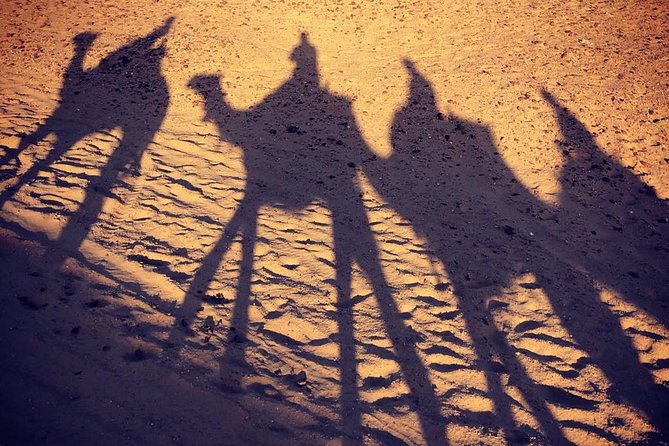 sunset at Giza pyramids by camels - What this sunset camel ride actually offers