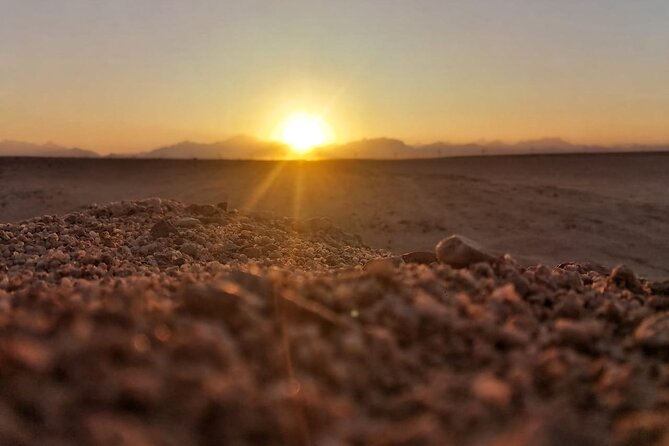Super Safari ATV, Drive Buggy, Camel Ride, Dinner & Show-Hurghada - Key Points Before You Book