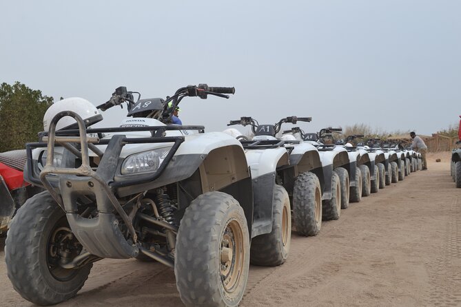 Super Safari ATV, Drive Buggy Car, Camel Ride, Bedouin Dinner, Show-Hurghada - Guides, organization, and group size