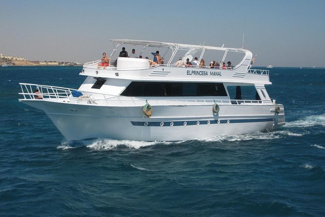 Swimming with Dolphin VIP Snorkeling Sea Trip With Lunch and Transfer - Hurghada - Snorkeling the coral reefs
