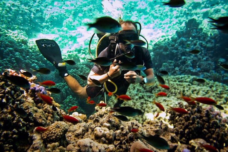 Tiran Island: Full-day Snorkeling, Diving Boat Trip - Snorkeling at two or three reef sites