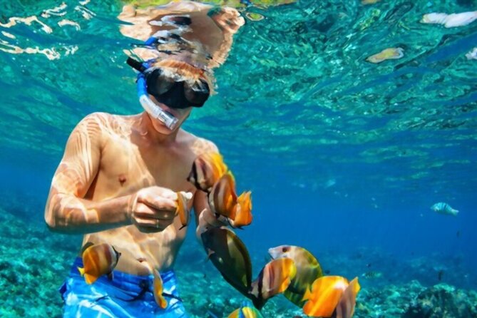 Tiran Island Snorkeling Excursion - Three snorkeling stops around Tiran Island or Ras Mohamed