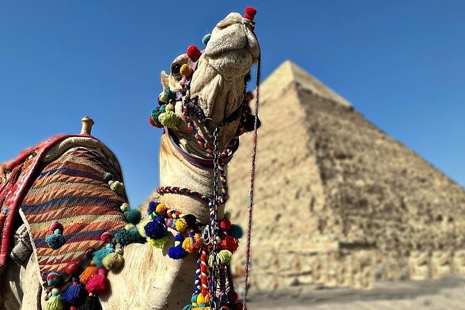 Tour to Pyramids and The Egyptian Museum - What the personal guide adds