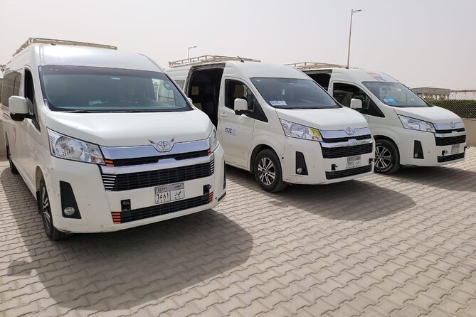 Transportation From / To Cairo International Airport - The airport pickup after your luggage arrives