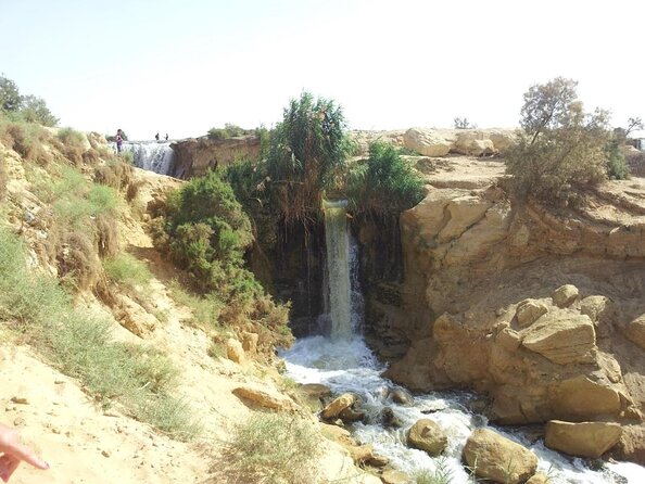 Valley of Whales and Wadi El Rayan Water Falls Day Tour from Cairo - Key points to know before booking