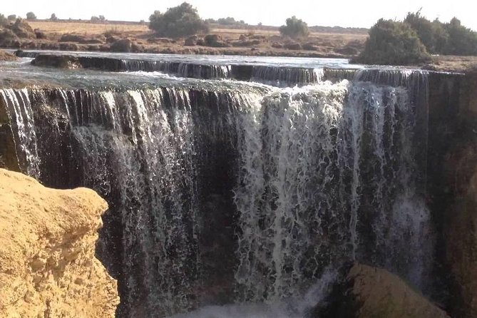 Valley of Whales and Wadi El Rayan Water Falls Day Tour from Cairo - Lunch arrives late, but it fits the setting