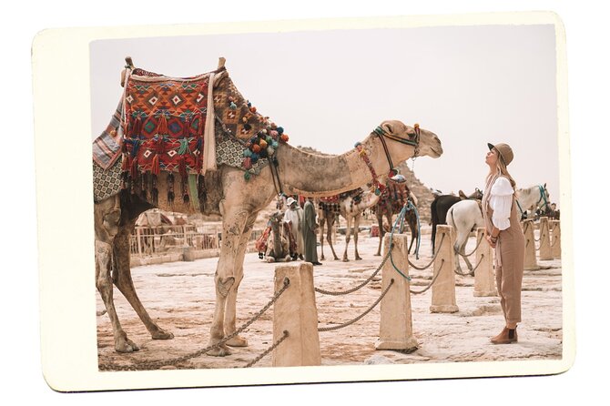 VIP All inclusive Best of Giza Pyramids, Sphinx, Sakkara, Memphis - Memphis, Ramses II, and the alabaster Sphinx