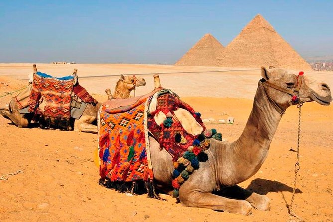 VIP All inclusive Best of Giza Pyramids, Sphinx, Sakkara, Memphis - Private transport, traffic, and comfort