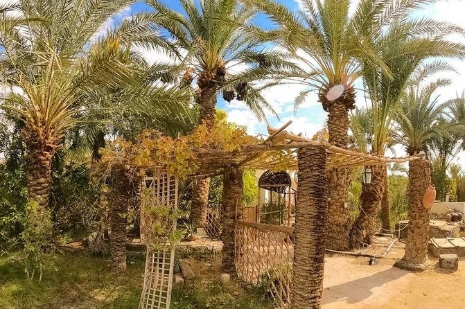 White Desert & Bahariya oasis 3 days 2 nights Tour from Cairo - What the $209 price really buys