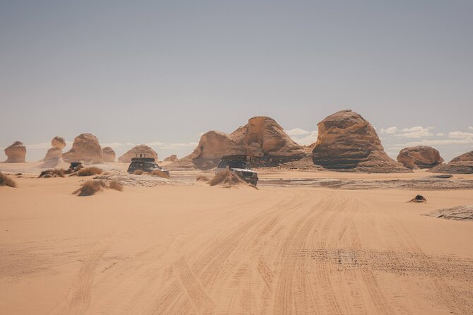 White Desert Overnight Camping Sharing Tour in Egypt - Dinner beside the campfire and a night under the stars